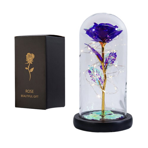 Fanyil Eternal Rose-fr - Libiyi