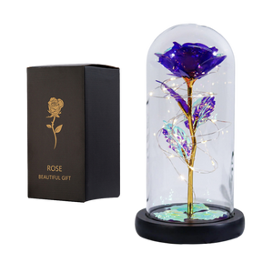 Fanyil Eternal Rose-fr - Libiyi