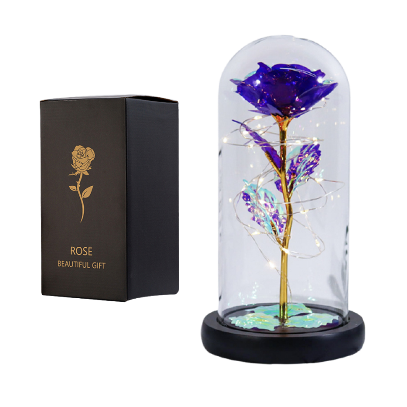 Fanyil Eternal Rose-fr - Libiyi