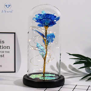 Fanyil Eternal Rose-fr - Libiyi