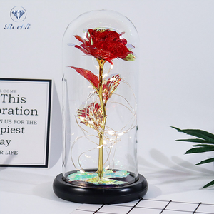 Fanyil Eternal Rose-fr - Libiyi