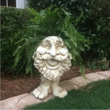 Load image into Gallery viewer, Fanyil Joy Planter DE - Libiyi