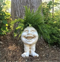 Load image into Gallery viewer, Fanyil Joy Planter DE - Libiyi