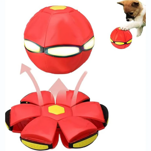 Outfany Doggy Delight Disc # - Libiyi