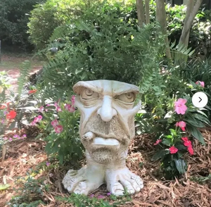 Fanyil Joy Planter DE - Libiyi