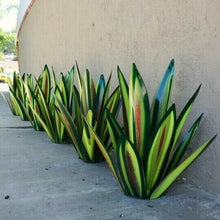 Load image into Gallery viewer, Anti-rust Metal Tequila Agave Plant - Libiyi