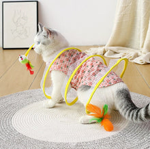 Load image into Gallery viewer, Cat Coil Spring Toy For Indoor Cats - Libiyi