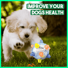 Load image into Gallery viewer, Libiyi™ Pet Ball  Endless Entertainment for Your Furry Friend! - Libiyi