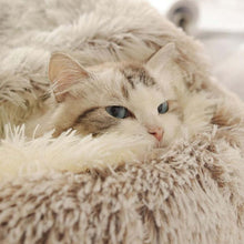 Load image into Gallery viewer, Libiyi CozyPaws - Libiyi