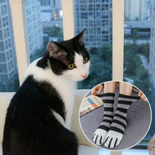 Load image into Gallery viewer, Cute Cat Claw Socks(BUY 6 GET FREE SHIPPING) - Libiyi