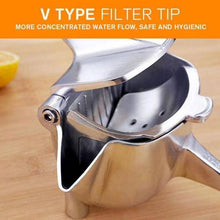 Load image into Gallery viewer, Stainless Steel Juicer - Libiyi