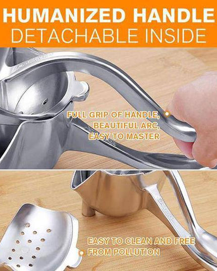 Stainless Steel Juicer - Libiyi