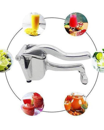 Stainless Steel Juicer - Libiyi
