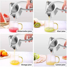 Load image into Gallery viewer, Stainless Steel Juicer - Libiyi