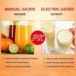 Stainless Steel Juicer - Libiyi