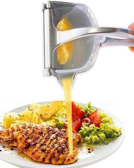 Stainless Steel Juicer - Libiyi