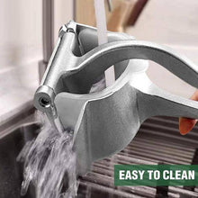 Load image into Gallery viewer, Stainless Steel Juicer - Libiyi