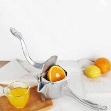 Load image into Gallery viewer, Stainless Steel Juicer - Libiyi