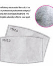 Filtres PM2,5 supplémentaires (1 paquet)